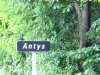 lesantys