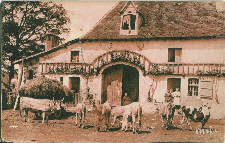 Ferme béarnaise